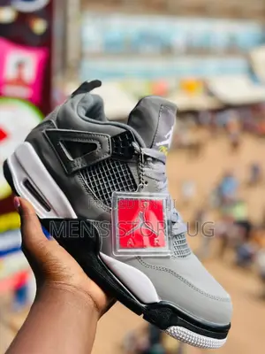 Air Jordan 4 Wolf Gray White