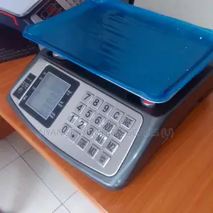 Balance Weighing Scale 40kg Portable Digital Food Exporter Weigh Scale