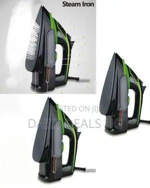 Electric Steam Iron