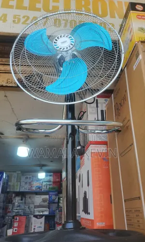 Erectric 18 Inch Fun
