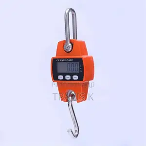 Outdated Digital Crane Scale