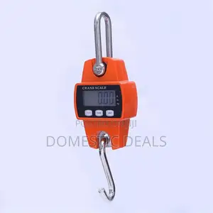 Outdated Digital Crane Scale