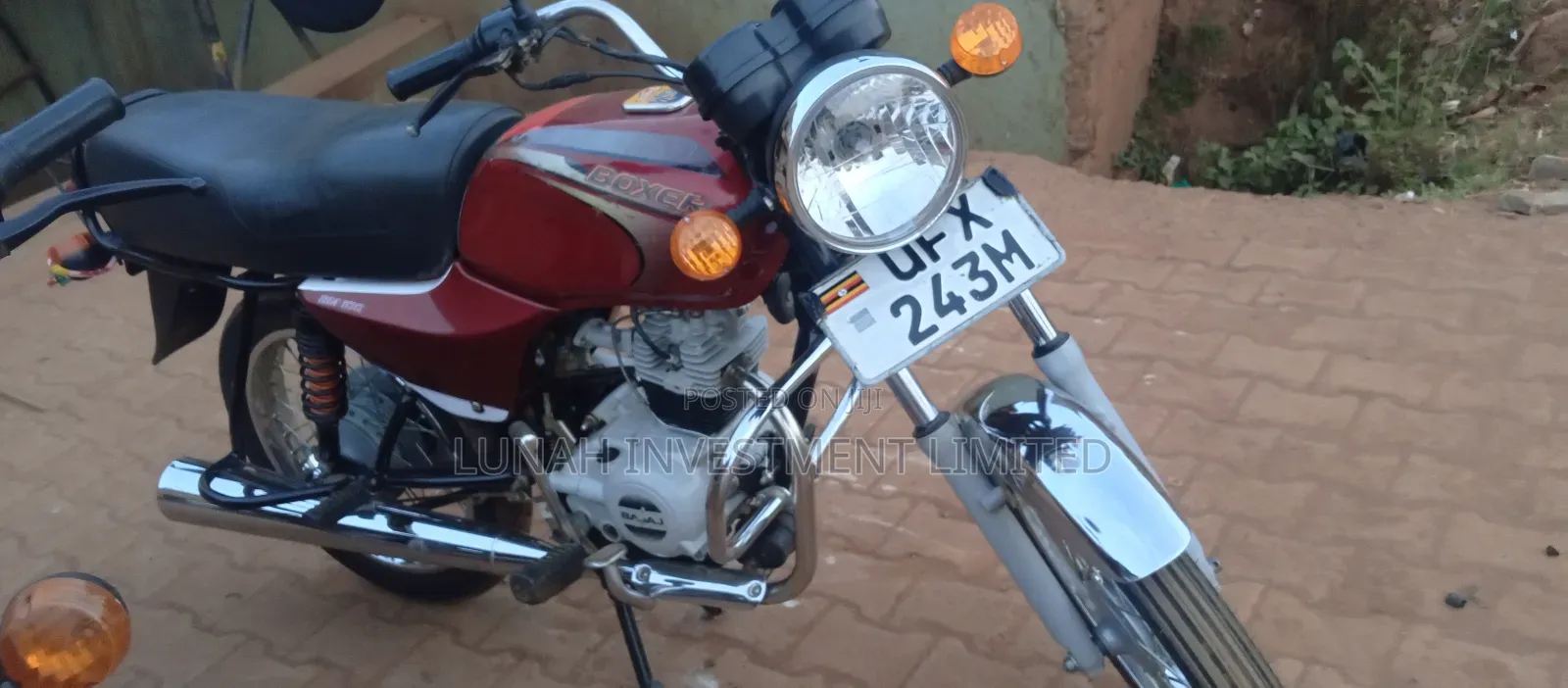 Bajaj Boxer 100 2024 Red