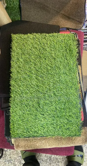 Grass Carpet Door Mat