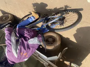 26'' All Ages Bicycle