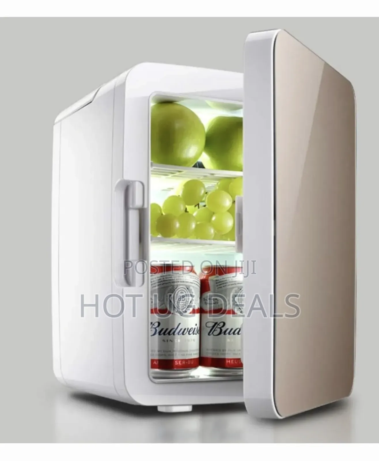 10 Liter Mini Car Fridge