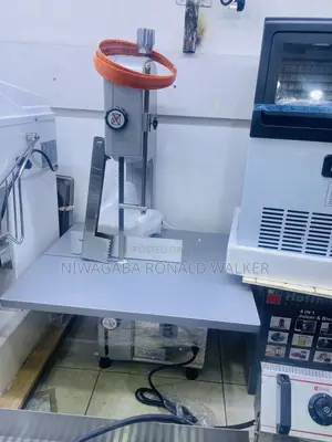 Photo - Big Commercial Electric Bone Saw Machine