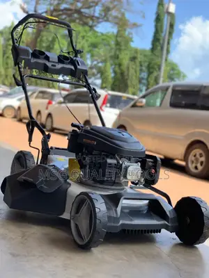 Gasoline Lawn Mower
