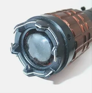 Professional X5 Stun Gun Torch