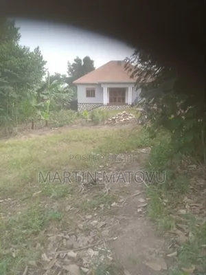 Gayaza-Makenke, 40m, 50by100ft