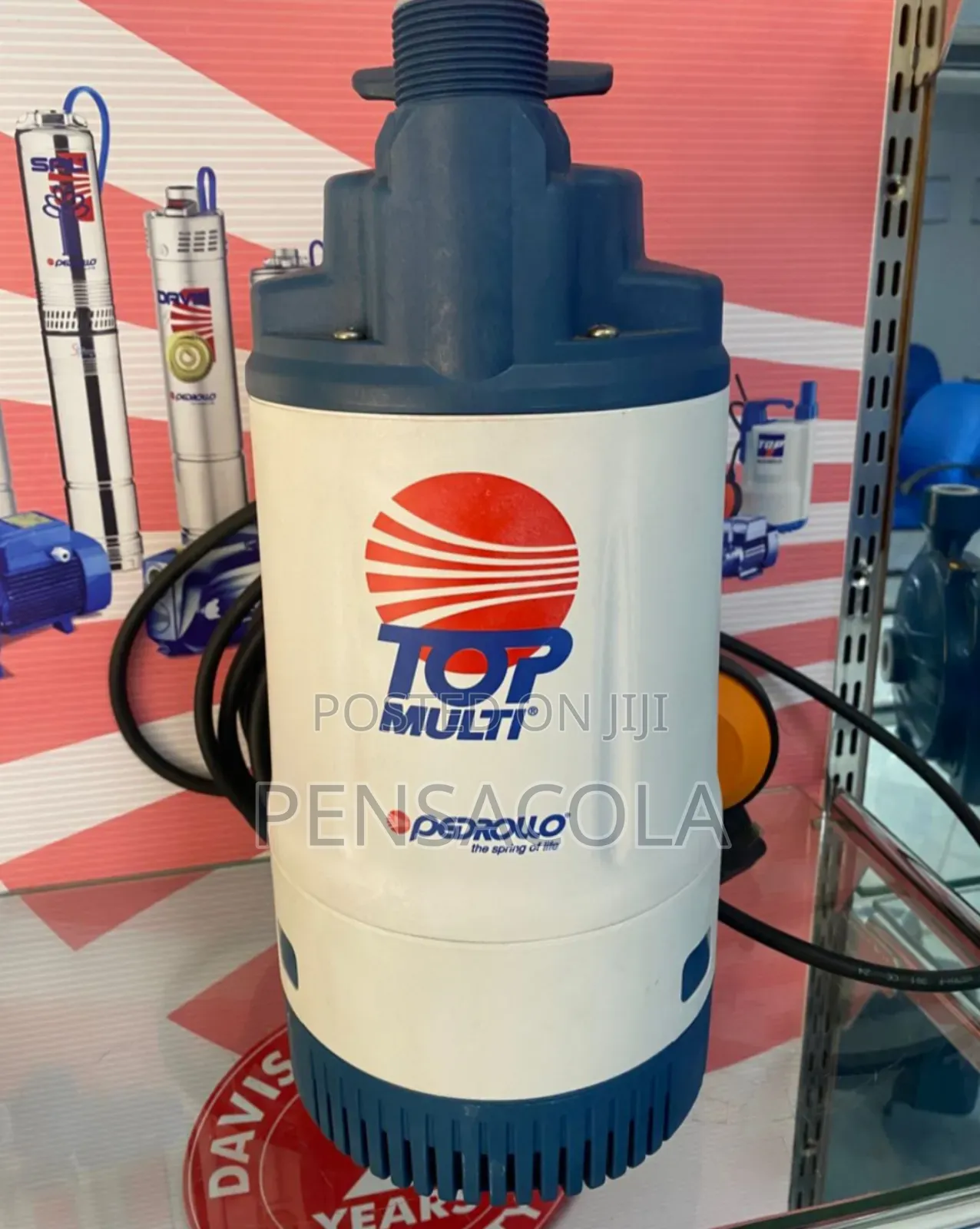 Italian 40m Pedrollo Submersible Pump