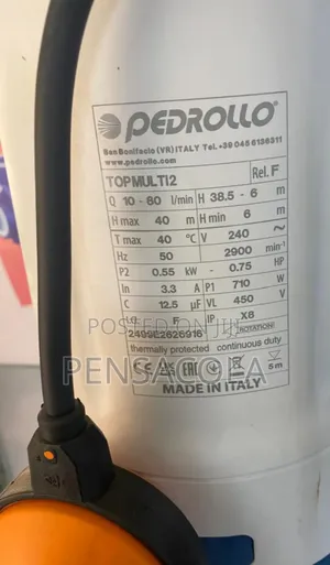 Italian 40m Pedrollo Submersible Pump