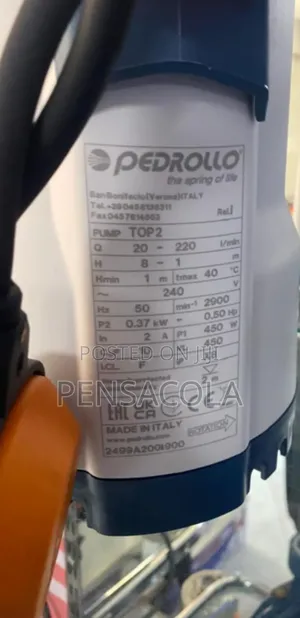 8m Pedrollo Submersible Pump