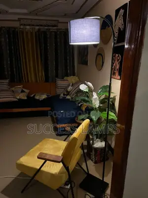 Long Floor Lamps