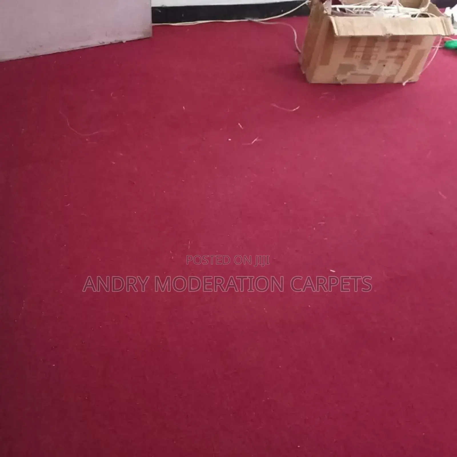 Home Wall to Wall Carpets