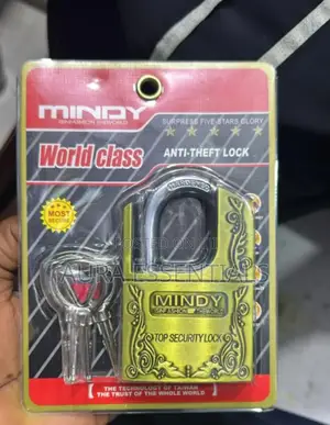 World Class Anti Theft Lock