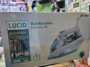Lucid Electric Steam Iron
