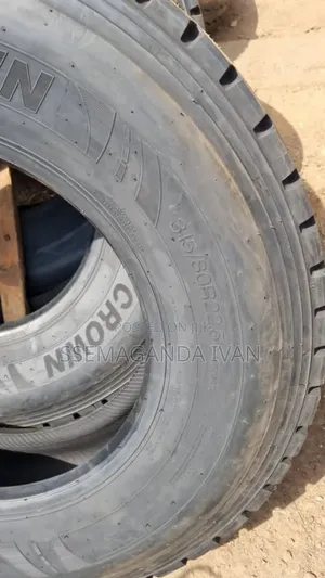 315/80r22.5 Golden Crown Tires Tubeless