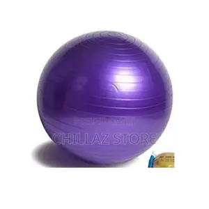 65cm Yoga Pregnancy Gym Ball.