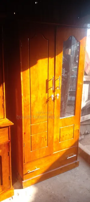 Photo - 2 Doors Closet