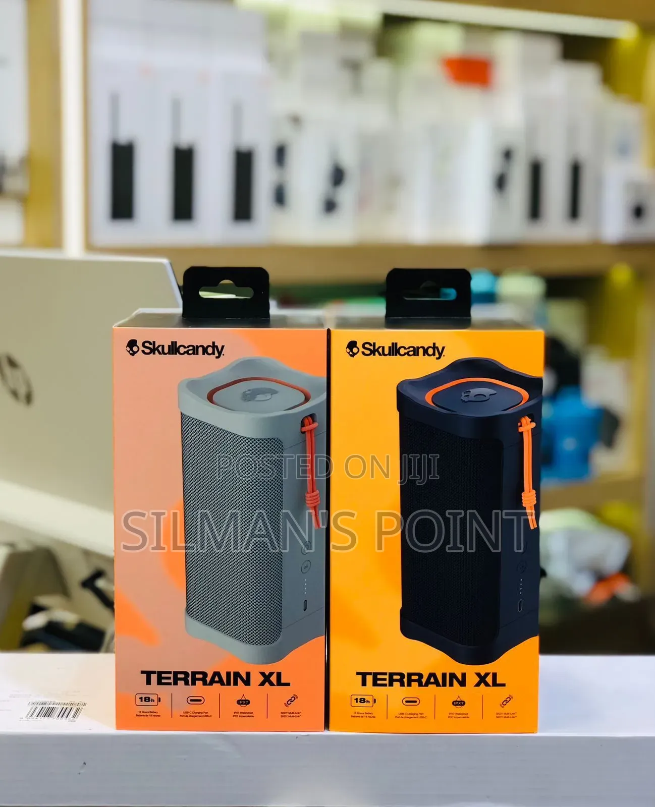 Skullcandy Terrain XL Speaker