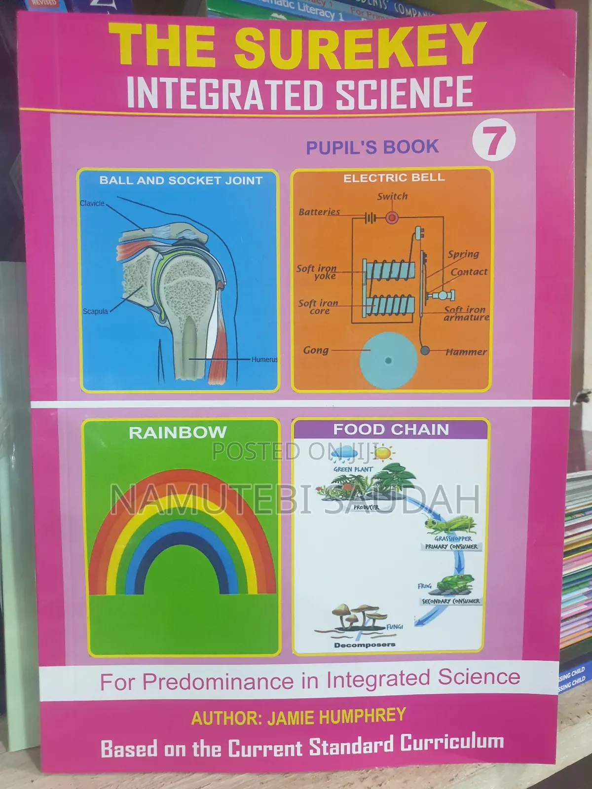 The Sure Key to Intergrated Science Bk7