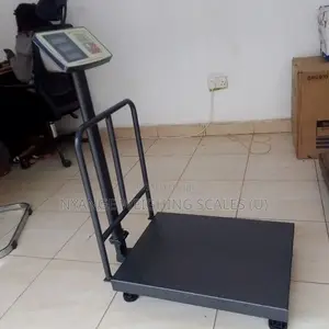 350kg Weigh Accuracy Importer Exporter Weigh Platform Weighing Scale