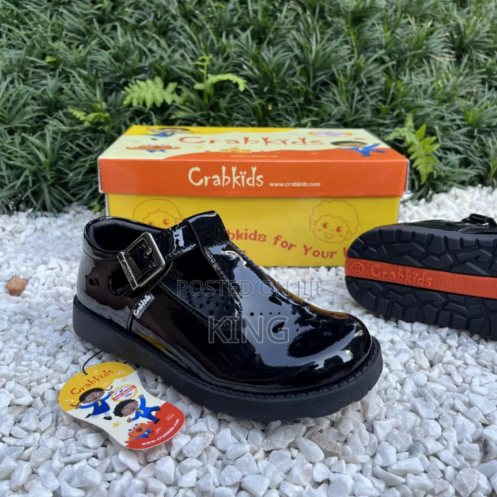 Bold Crabkids Girls School Shoes. Black