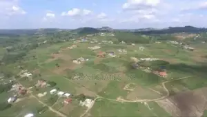 Kajansi Near Eco City