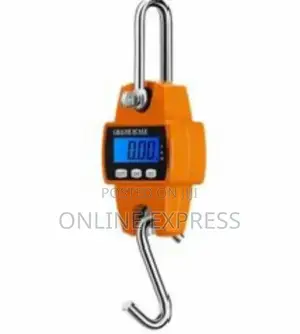 Photo - Digital Hanging Crane Scale
