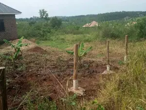 Matugga Plot for Sale