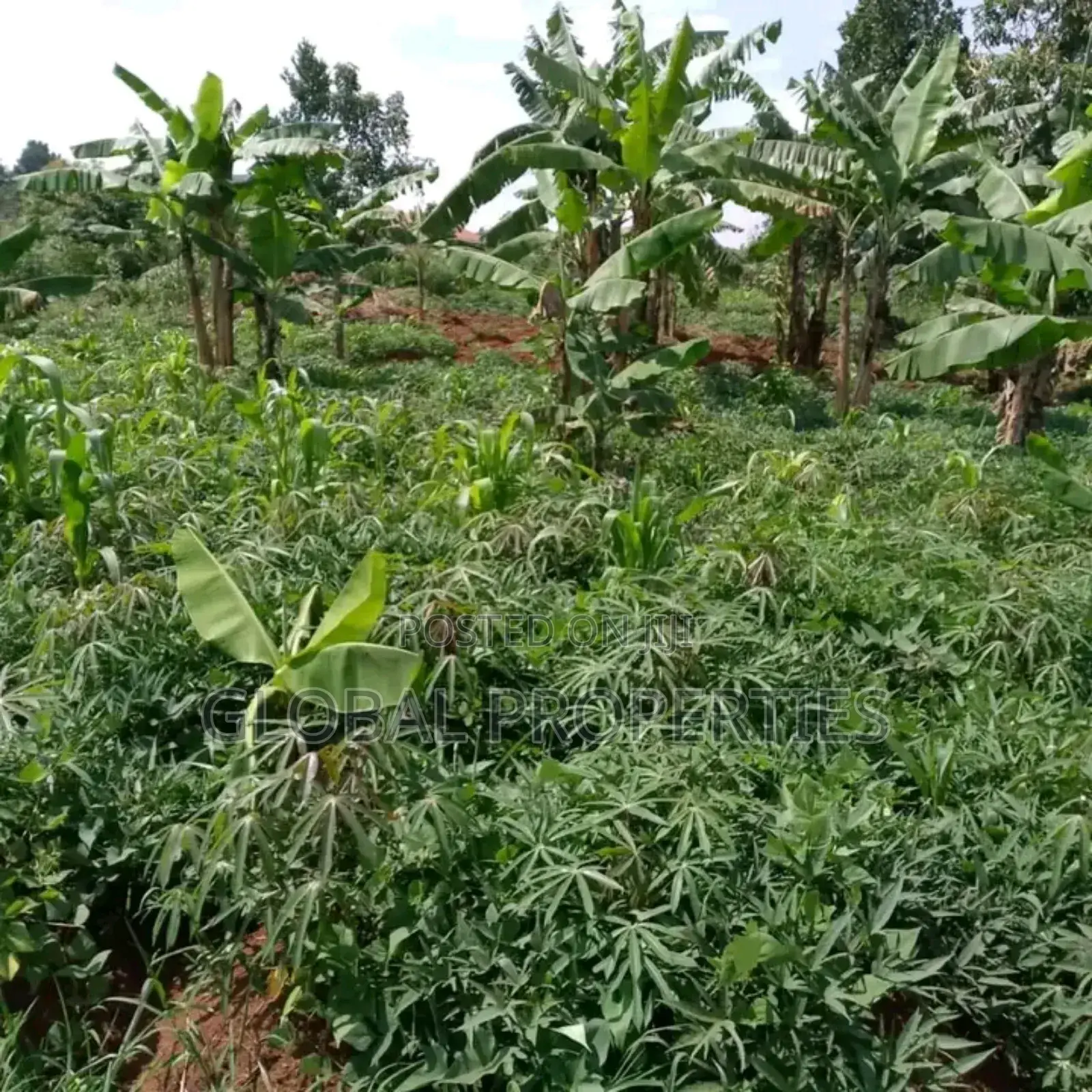 Namugongo Plot for Sale