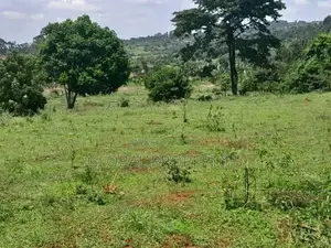 Bweyogerere Plot on Sale