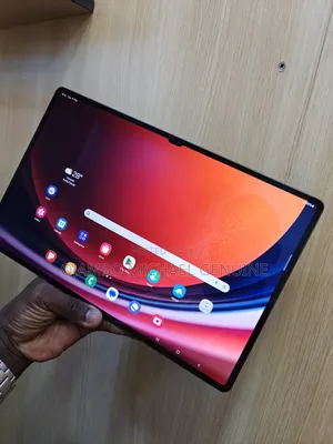 Samsung Galaxy Tab S9 Ultra 256 GB Gray