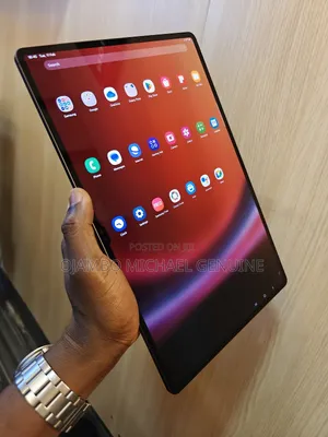 Samsung Galaxy Tab S9 Ultra 256 GB Gray