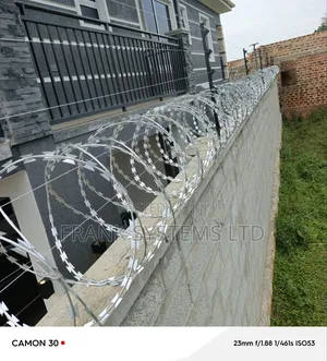 Electric Fence With Razor Wire Alarm