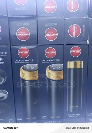 Temperature Display Thermo Insulated Bottle