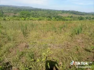 Affordable Land for Sale in Impigi Along Masaka Road
