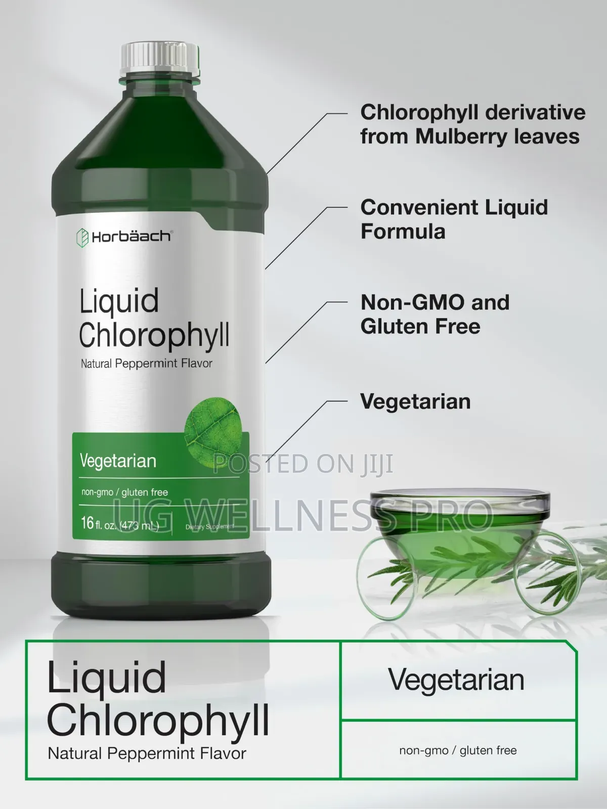 Liquid Chlorophyll 100mg Natural Peppermint Flavor Veg 473ml