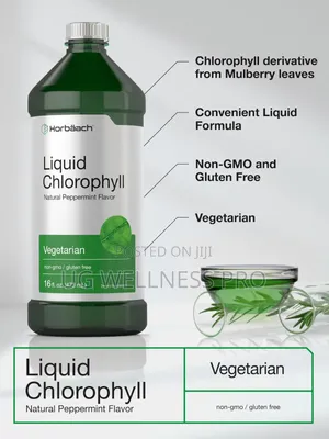 Liquid Chlorophyll 100mg Natural Peppermint Flavor Veg 473ml