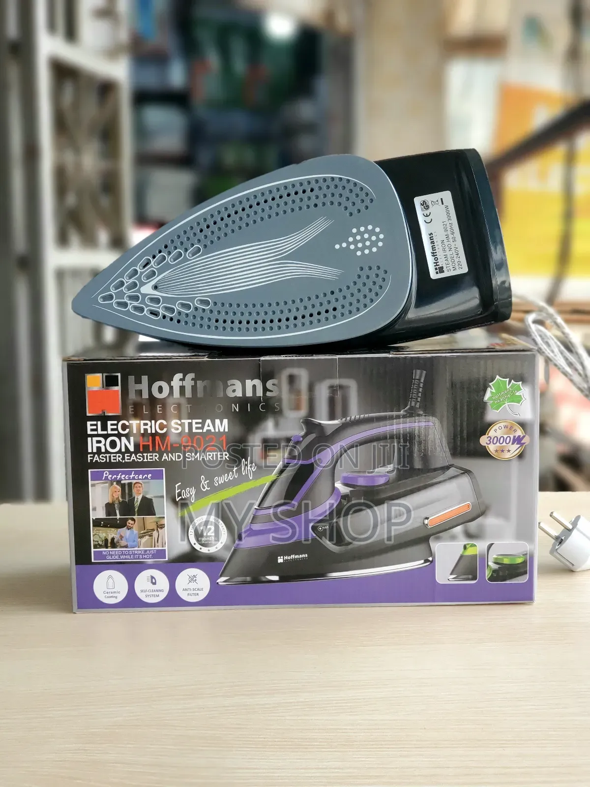 Electric Steam Iron Hm-9021