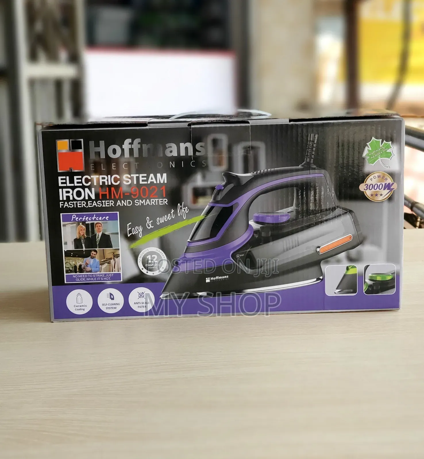Electric Steam Iron Hm-9021
