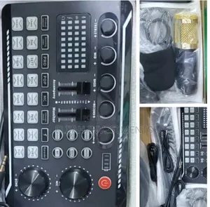 Brand New Authentic V12 Microphone Condenser