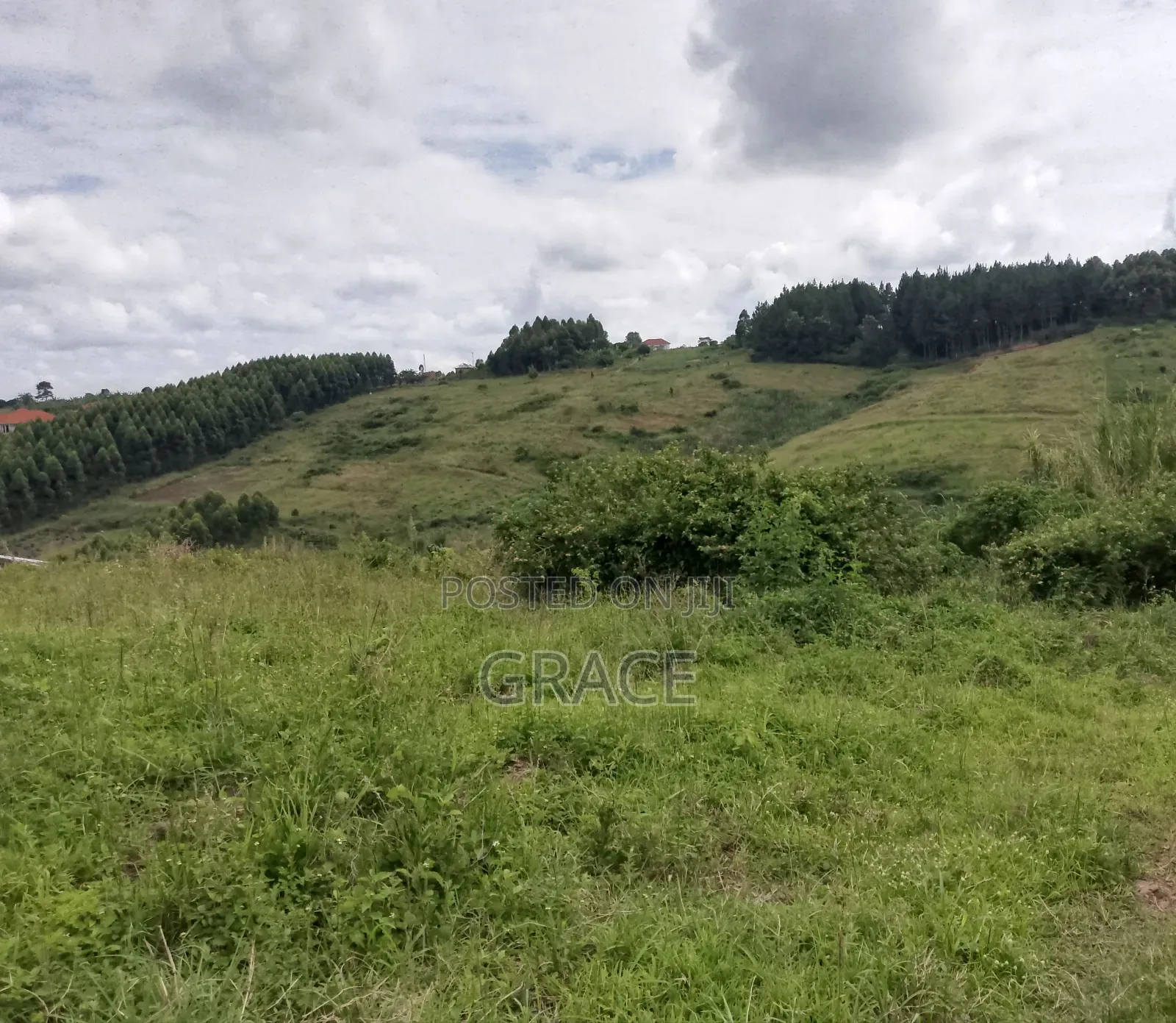 Land for Sell Titled