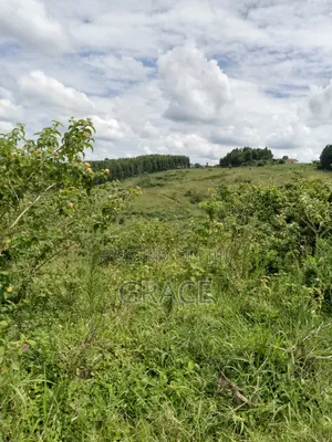 Land for Sell Titled