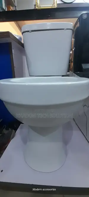 Complete Original Francia Non Combined Toilet Press P Type