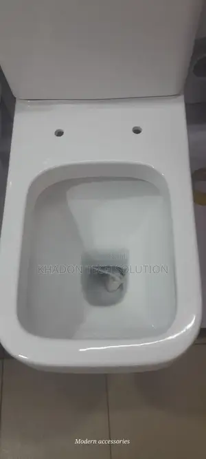 Complete Original Big Toilet Francia Press P Non Combined