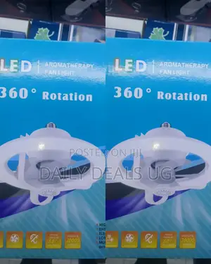 Rotating Fan Light