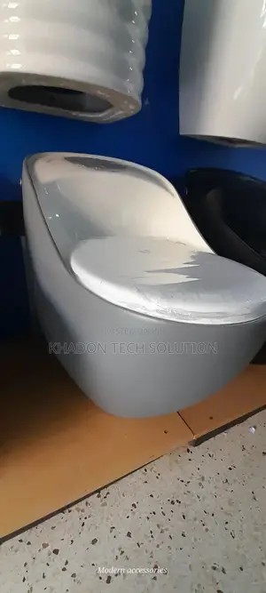Original Luxury Toilet Grey And White Merino Press P Type