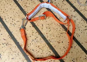 Climbers (Pole Climbers) Concrete